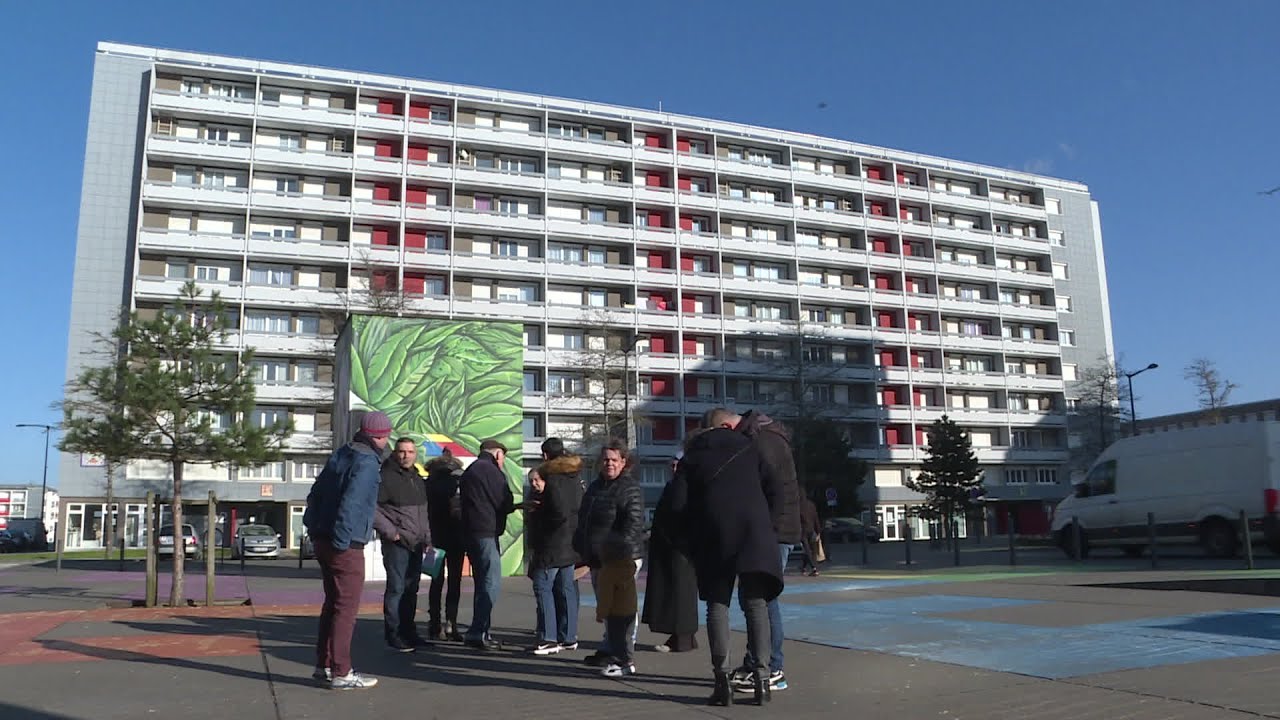 Moisissures et humidité dans les appartements : ces locataires de Neuville-lès-Dieppe réagissent